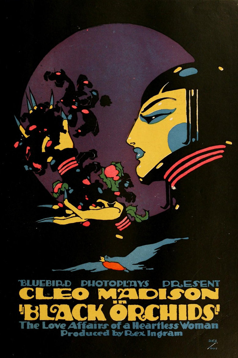 Affiche du film : Black Orchids