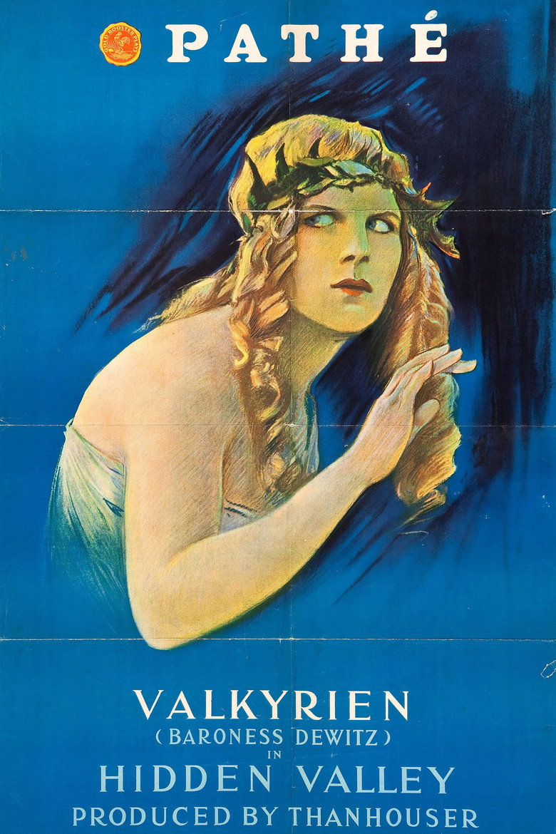 Plakat filmowy: Hidden Valley