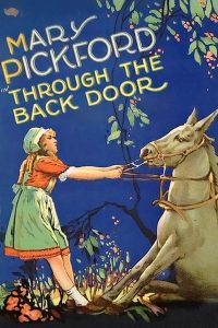 Plakat von "Through The Back Door"