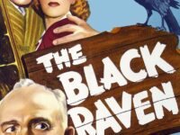 Poster for the movie "The Black Raven"